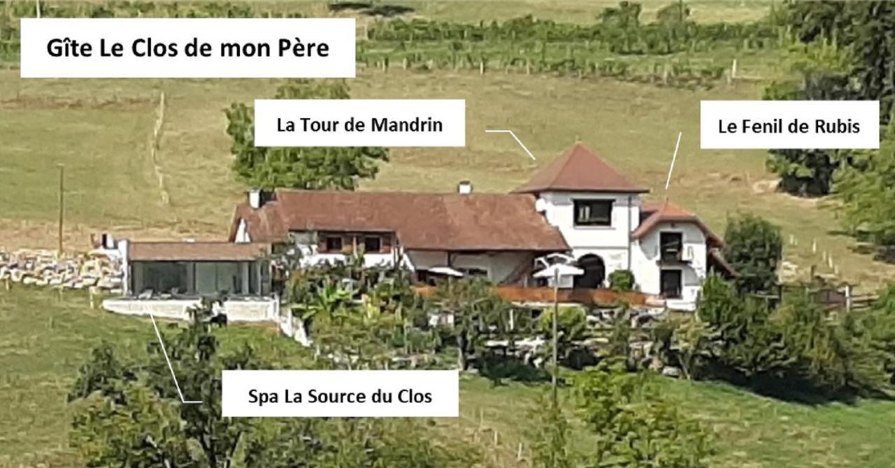 Rochefort  Gite & Spa Le Clos De Mon Pere מראה חיצוני תמונה